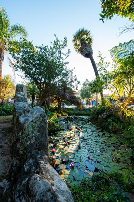 Quinta Da Malaposta - Boutique Hotel & Eventos Vila Nova de Cerveira Εξωτερικό φωτογραφία